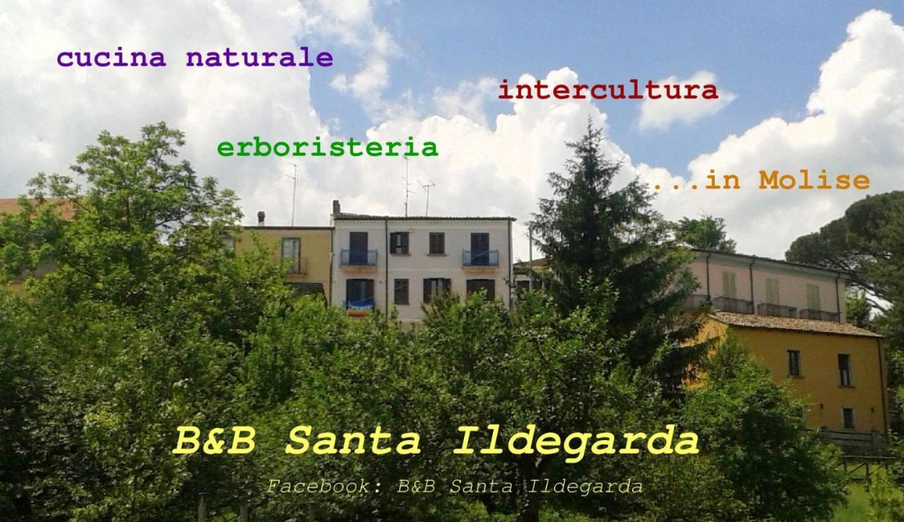 B&B Santa Ildegarda Cantalupo nel Sannio Zimmer foto
